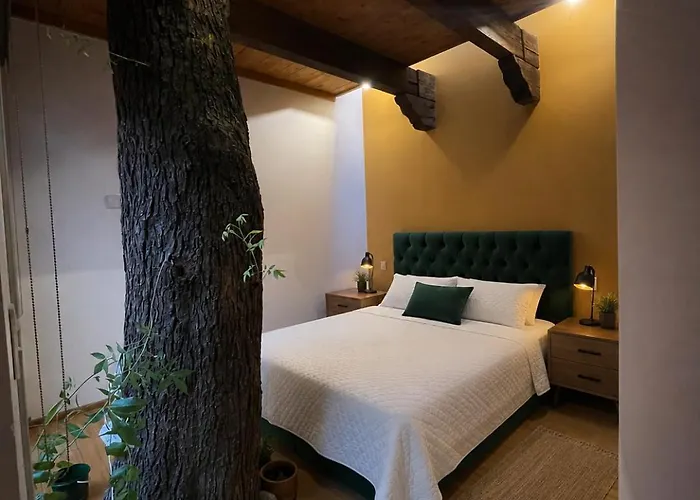 Casa Del Arbol Maison d'hôtes