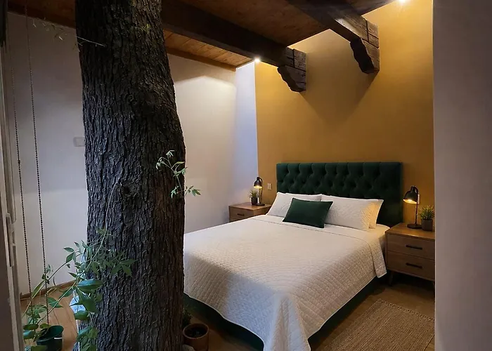 Pensión Casa Del Arbol 3*