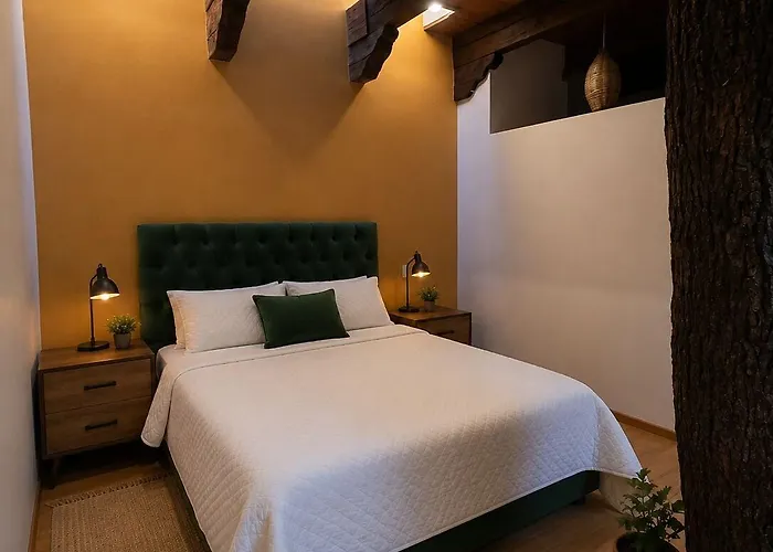 Casa Del Arbol 3* México DF